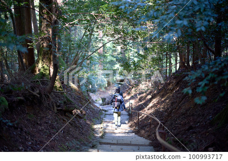 Kurama山山道路 100993717