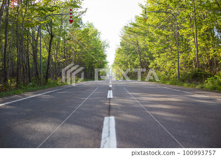 北海道森林中的筆直道路 北海道森林中的筆直道路 100993757