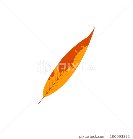 Withered autumn motley leaf. Fallen leaf with 100993821