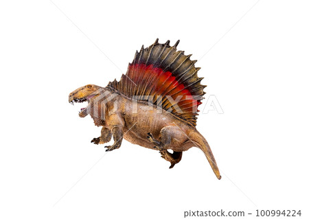 dinosaur , Dimetrodon isolated background dinosaur , Dimetrodon isolated background 100994224