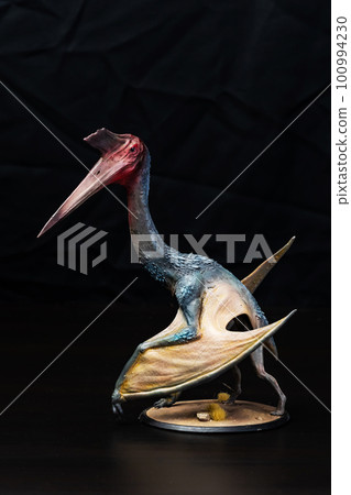 The Pterosaur dinosaur in the dark The Pterosaur dinosaur in the dark 100994230