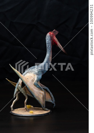The Pterosaur  dinosaur  in the dark 100994231