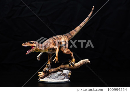 The Velociraptor dinosaur in the dark The Velociraptor dinosaur in the dark 100994234
