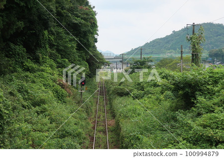 signal signal 100994879