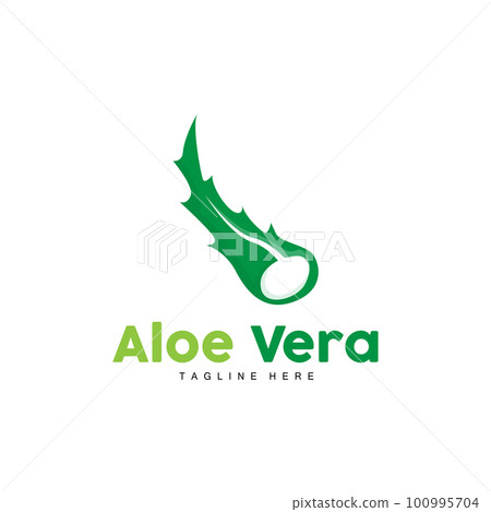 Aloe Vera Logo, Green Plant Design, Traditional Medicine And Skin Care Plant Vector, Hair Care, Symbol Icon Illustration 100995704