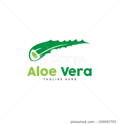 Aloe Vera Logo, Green Plant Design, Traditional Medicine And Skin Care Plant Vector, Hair Care, Symbol Icon Illustration Aloe Vera Logo, Green Plant Design, Traditional Medicine And Skin Care Plant Vector, Hair Care, Symbol Icon Illustration 100995705