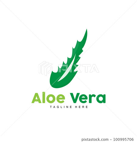Aloe Vera Logo, Green Plant Design, Traditional Medicine And Skin Care Plant Vector, Hair Care, Symbol Icon Illustration 100995706