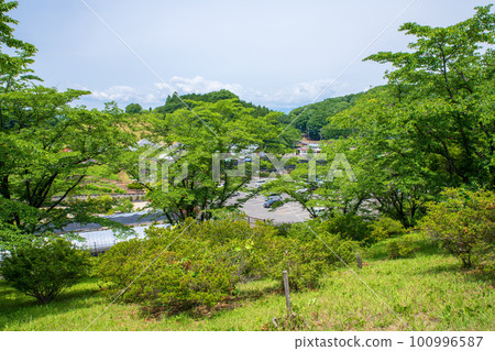 鹿沼市花木中心 停車場附近 初夏風光 鹿沼市花木中心 停車場附近 初夏風光 100996587