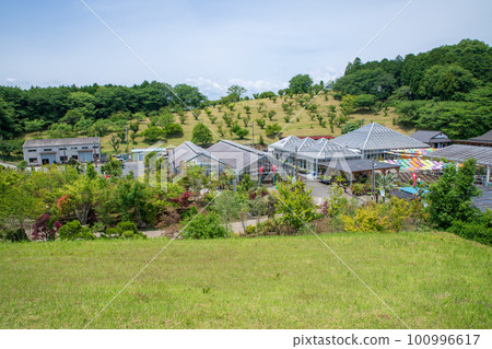 Kanuma City Hanaki Center Early summer scenery 100996617