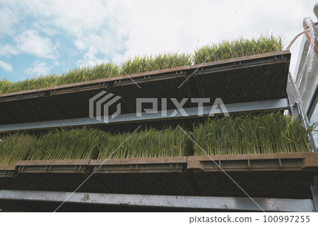 seeding, farming, track 100997255