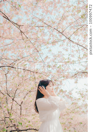 Woman listening to music under the cherry tree 100997472