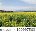 Landscape with rape field 100997583