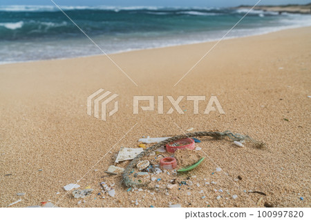 Beach cleanup of plastic fragments pollution from the ocean. Marine debris in Hawaii 100997820