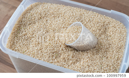 Image of storing brown rice in a plastic case 100997959