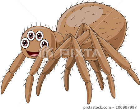 Cute tarantula cartoon on white background 100997997