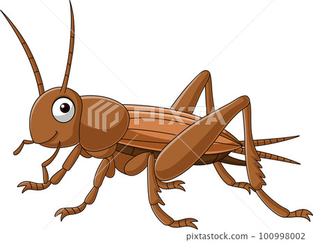 Cartoon grasshopper on white background 100998002