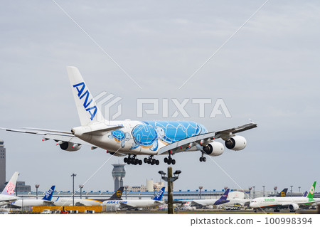 Airport in spring Rear view of an airplane landing Narita city, Chiba prefecture 100998394