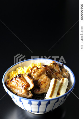 黑色背景中的照燒雞肉碗,上面放著碎雞蛋、烤蔥和切碎的海藻 黑色背景中的照燒雞肉碗,上面放著碎雞蛋、烤蔥和切碎的海藻 100999490