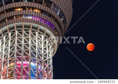 《Tokyo》Total lunar eclipse and Sky Tree・November 8, 2022 《Tokyo》Total lunar eclipse and Sky Tree・November 8, 2022 100999531