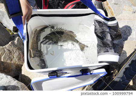 袋子裡的奇努 袋子裡的奇努 100999794