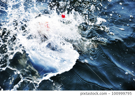 海裡的魚 海裡的魚 100999795