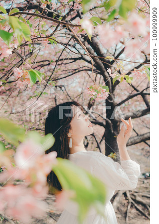 站在櫻桃樹下的女人 100999909