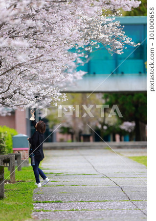 射擊櫻桃樹的婦女 101000658