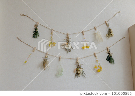 牆上的干花 101000895