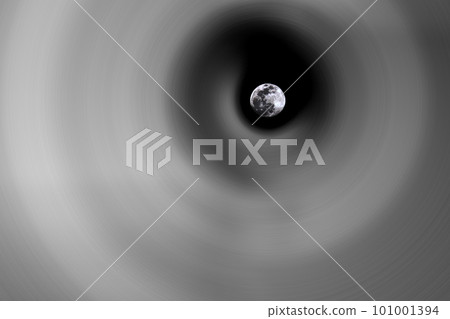 月 月 101001394