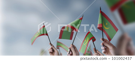 A group of people holding small flags of the Mauritania in their hands 101002437