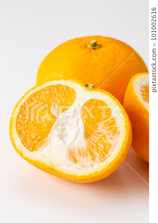 駿河優雅（天夏/柚子） 101002616