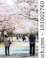 A walk 101002760