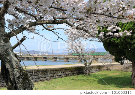 穿過瀨田川的琵琶湖線列車 穿過瀨田川的琵琶湖線列車 101003315