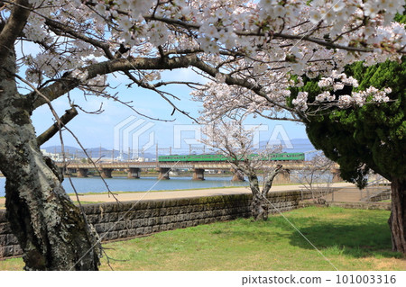 A train on the Biwako Line crossing the Seta River A train on the Biwako Line crossing the Seta River 101003316
