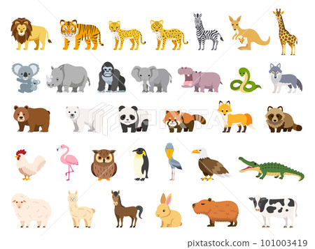 Illustration set of many cute animals 101003419
