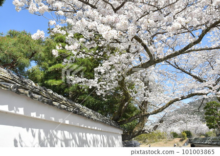 Spring Jingu Dojo Spring Jingu Dojo 101003865