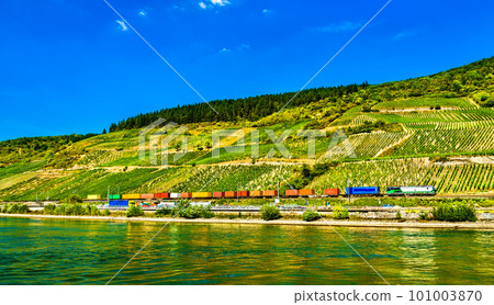 Freight container train at the Rhine River in the Rhine Gorge in Germany 101003870