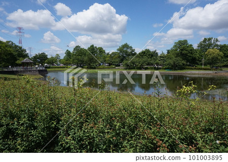 帶池塘的川口綠色中心景觀 帶池塘的川口綠色中心景觀 101003895