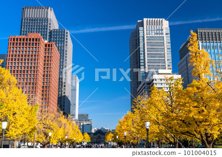 《東京》秋天的東京丸之內・彩色銀杏銀杏街 101004015