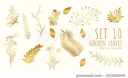 beautiful tropical golden leaves background in set 101005044