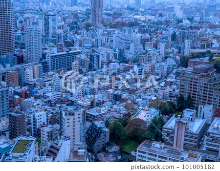 Tokyo streets seen from the observatory Tokyo streets seen from the observatory 101005182