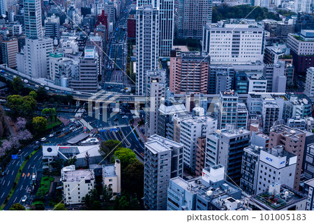 從天文台看到的東京街道 101005183