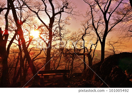 Daigo Town, Ibaraki Prefecture Sunset seen from a bench on the summit of Mt. Tsukii Daigo Town, Ibaraki Prefecture Sunset seen from a bench on the summit of Mt. Tsukii 101005492