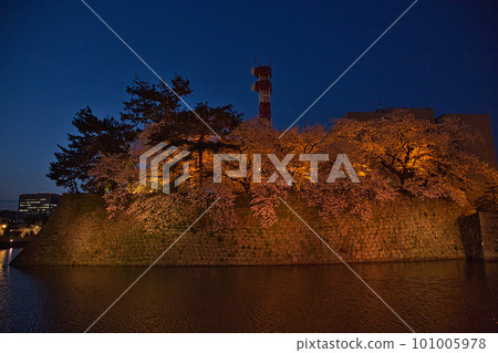 Night cherry blossoms at Fukui prefectural moat Night cherry blossoms at Fukui prefectural moat 101005978