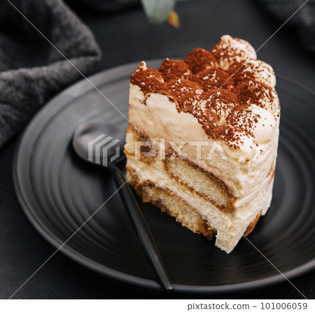 Traditional italian tiramisu cake on black plate 101006059