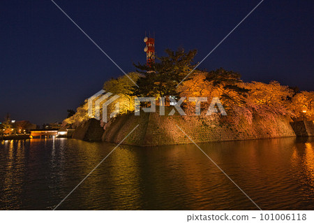 Night cherry blossoms at Fukui prefectural moat Night cherry blossoms at Fukui prefectural moat 101006118