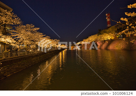 Night cherry blossoms at Fukui prefectural moat Night cherry blossoms at Fukui prefectural moat 101006124