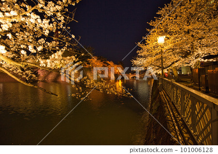 Night cherry blossoms at Fukui prefectural moat Night cherry blossoms at Fukui prefectural moat 101006128