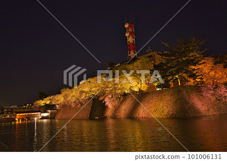 福井縣立護城河夜櫻 101006131