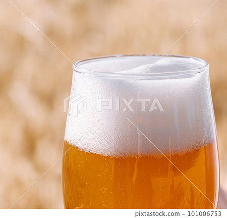 glass of beer against the background of wheat field glass of beer against the background of wheat field 101006753